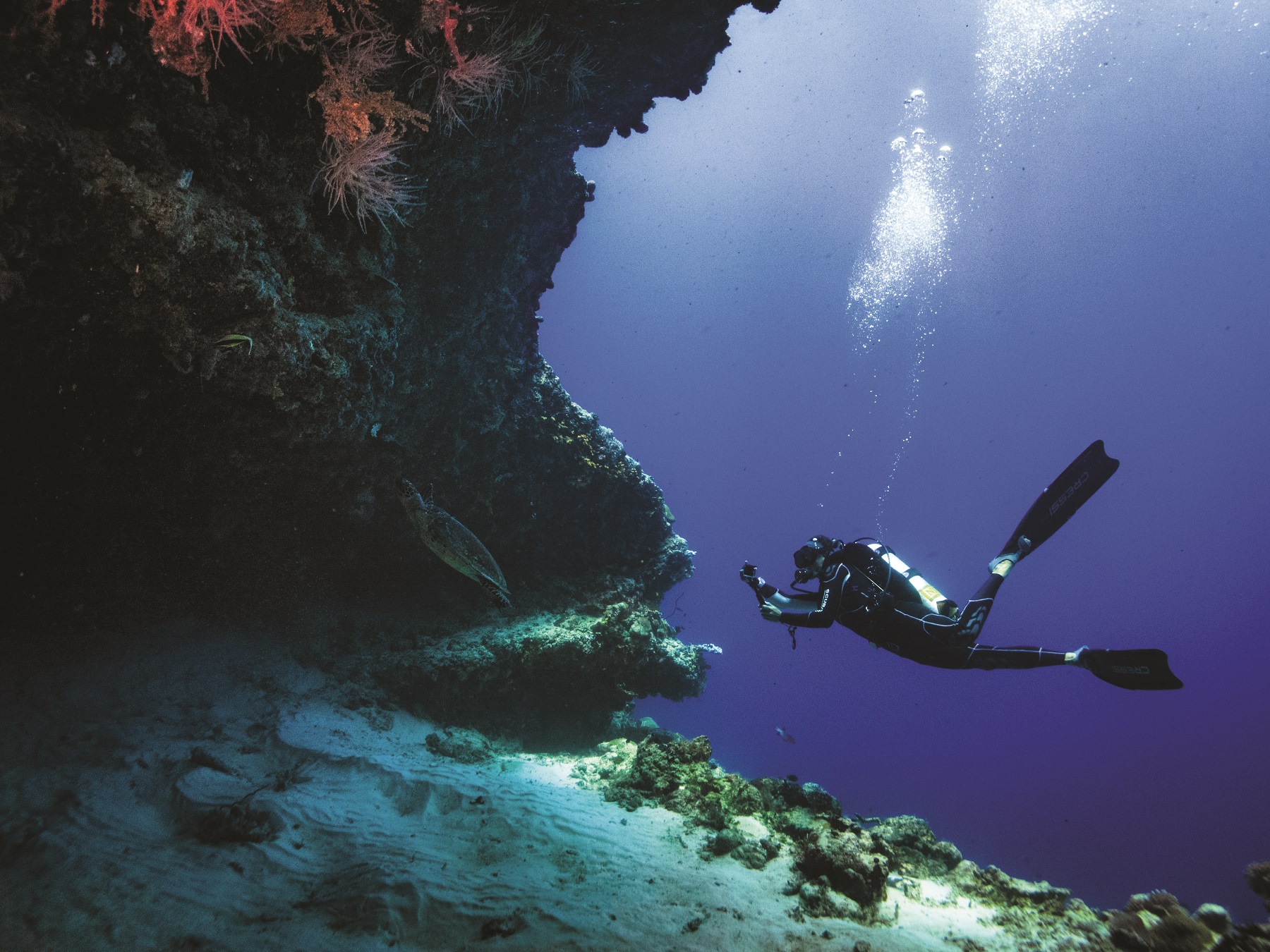Diving 